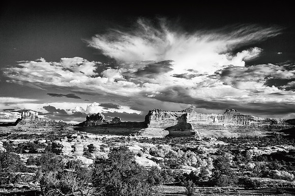 Desert Splendor