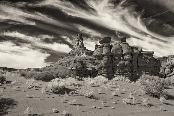 Canyonlands Scene #1