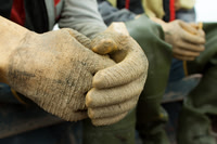 Hands