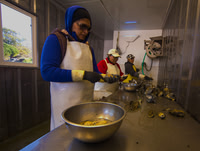 The Women Shuck