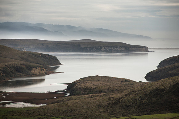 The Bay