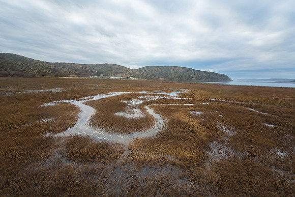 Incoming Tide